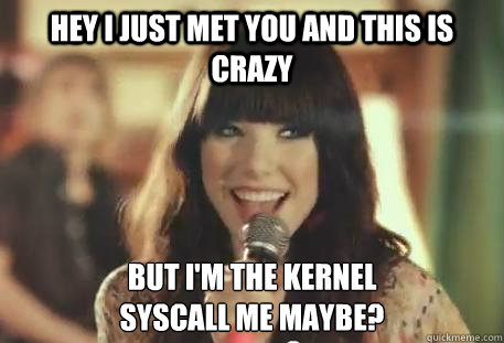 syscallme_maybe.jpg